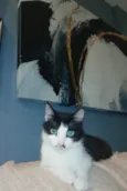 Lily
