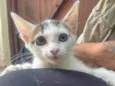 Zoe
