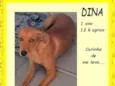 Dina