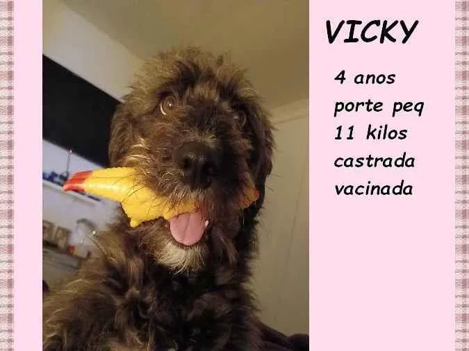 Cachorro ra a SRD-ViraLata idade 4 anos nome Vicky