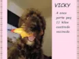 Vicky