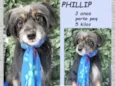 Phillip