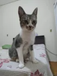 Luca