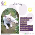 Jhonny