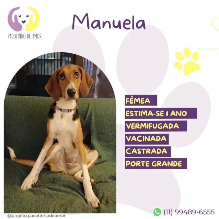 Cachorro ra a SRD-ViraLata idade 1 ano nome Manuela 