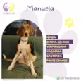 Manuela