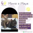 Minnie e Maya