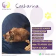Catharina