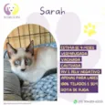 Sarah
