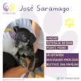 José Saramago