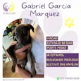 Gabriel