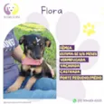 Flora