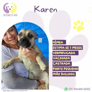 Cachorro raça SRD-ViraLata idade 2 a 6 meses nome Karen