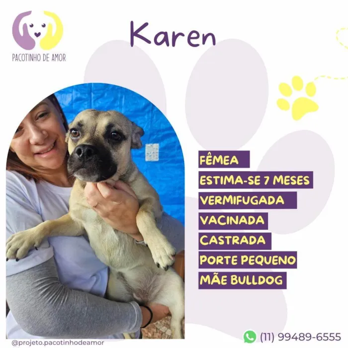 Cachorro ra a SRD-ViraLata idade 2 a 6 meses nome Karen