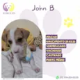 Jhon B