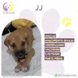 J J