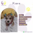 Kiara