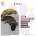 Sarah