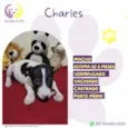 Charles