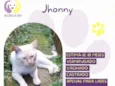 Jhonny