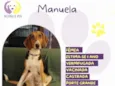 Manuela