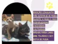 Minnie e Maya