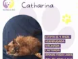 Catharina