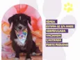 Luna 3 anos