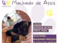 Machado de Assis