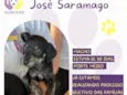 José Saramago