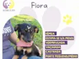 Flora
