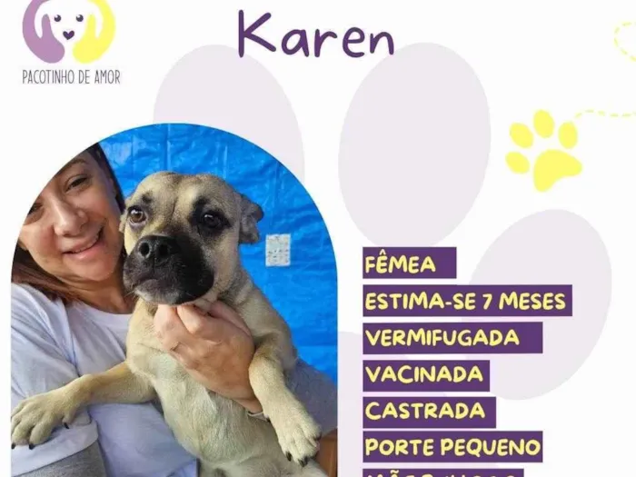 Cachorro ra a SRD-ViraLata idade 2 a 6 meses nome Karen