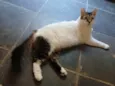 Mimi