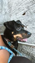 Tita