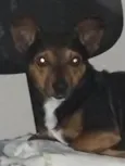 Paçoca