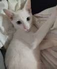 José