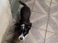 Nina