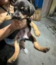 Não tem nenhum nome ainda