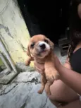 Não tem nenhum nome