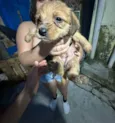 Não tem nenhum nome