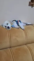 Tobby
