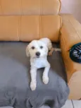 Tobby