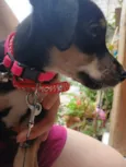 Lala
