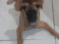 Amora ??