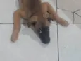 Amora ??