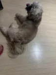 Não sabemos