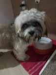 Não sabemos