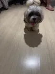 Não sabemos