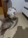 Não sabemos