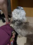 Não sabemos